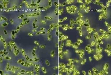Teknologi Canggih Bunuh Bakteri