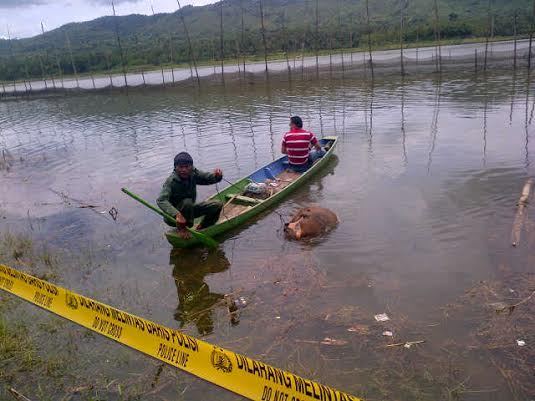  Bocah 3 Tahun Tewas Terbakar di Medan