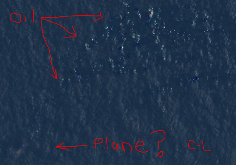 Istri Kurt Cobain Klaim Temukan Pesawat MAS MH370 yang Hilang