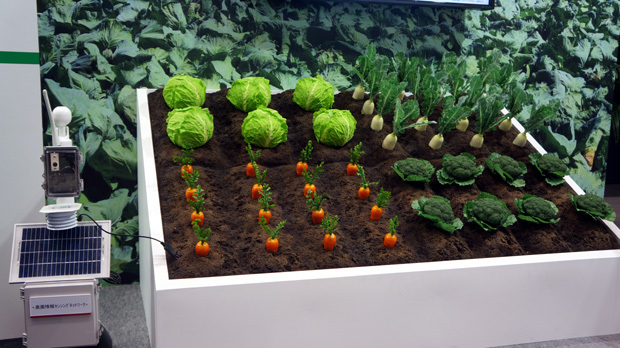 http://images.detik.com/content/2014/05/17/398/petani.jpg