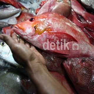 http://images.detik.com/content/2014/05/21/4/074648_ikan320.jpg
