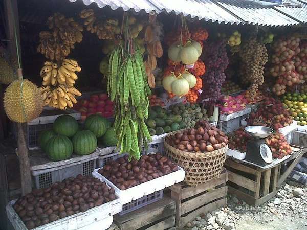 patuk.jpg