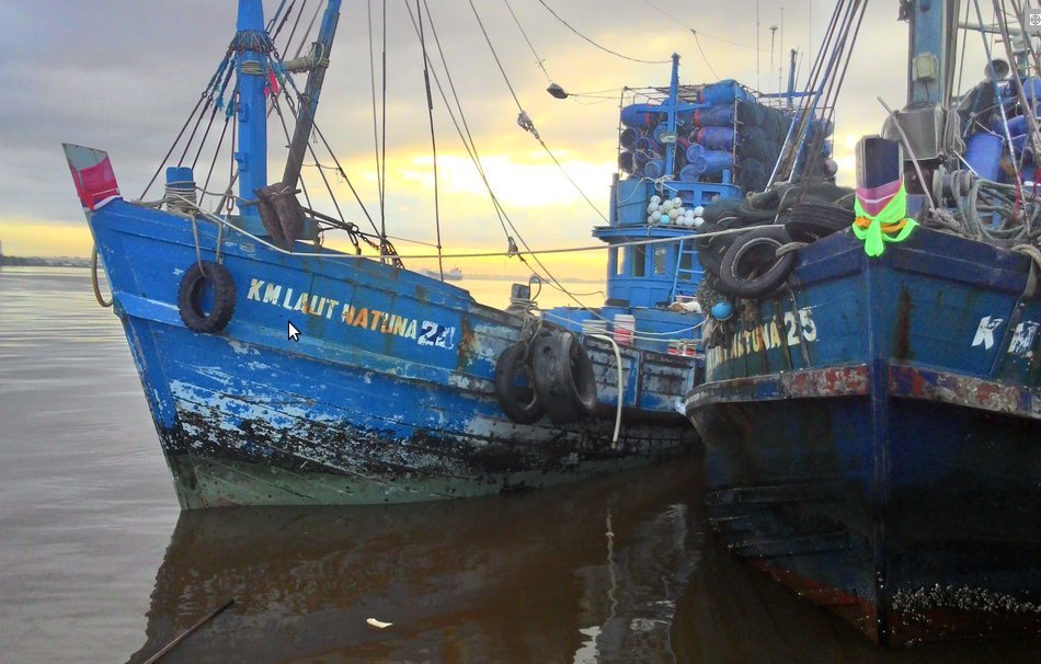 Maaf, Menteri Susi Tetap Larang Bongkar Muat Ikan di Tengah Laut