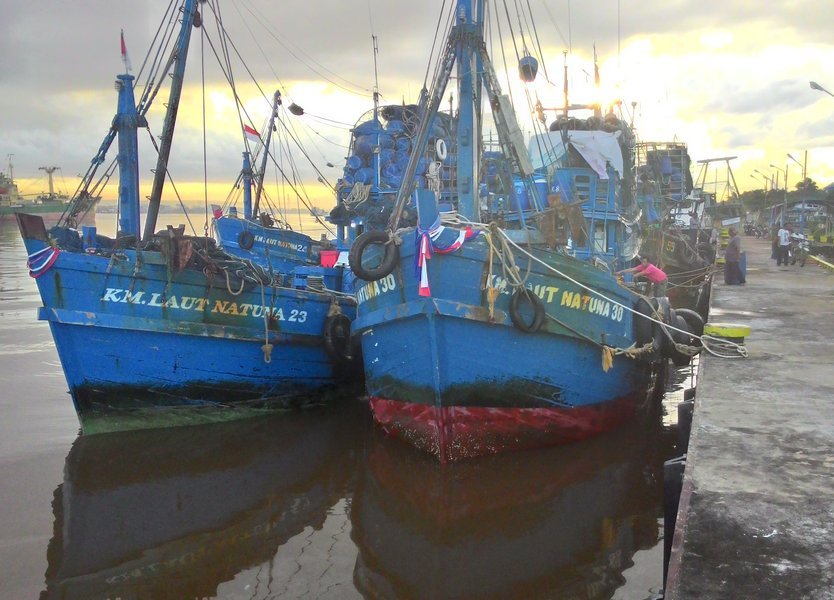 Kasus Perbudakan, Menteri Susi: Bisnis Seafood Kita Sangat Terancam