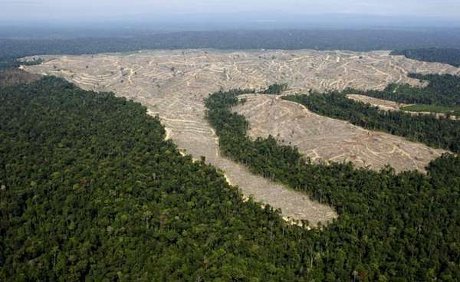 WWF Indonesia Dukung Praktik Petani Swadaya WWF Indonesia Dukung Praktik Petani Swadaya