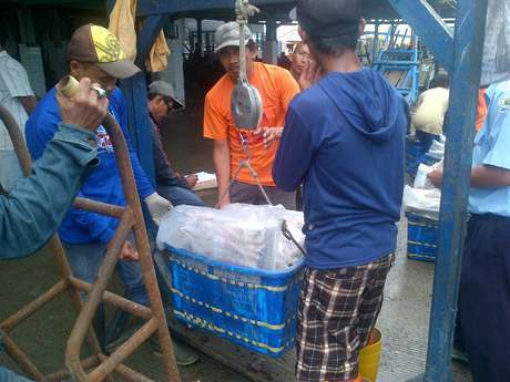 Pengunjung dan Pelaku Usaha Keluhkan Pungli di TPI Muara Angke Pengunjung dan Pelaku Usaha Keluhkan Pungli di TPI Muara Angke