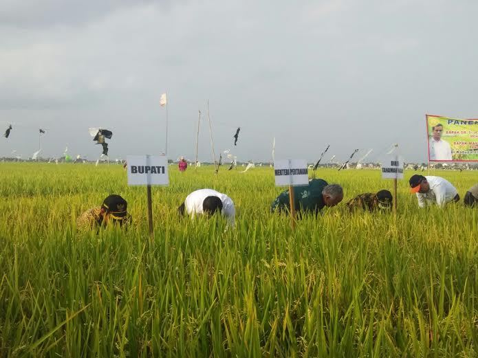 Ini Strategi Mentan Amran Agar Petani Jual Beras ke Bulog Ini Strategi Mentan Amran Agar Petani Jual Beras ke Bulog