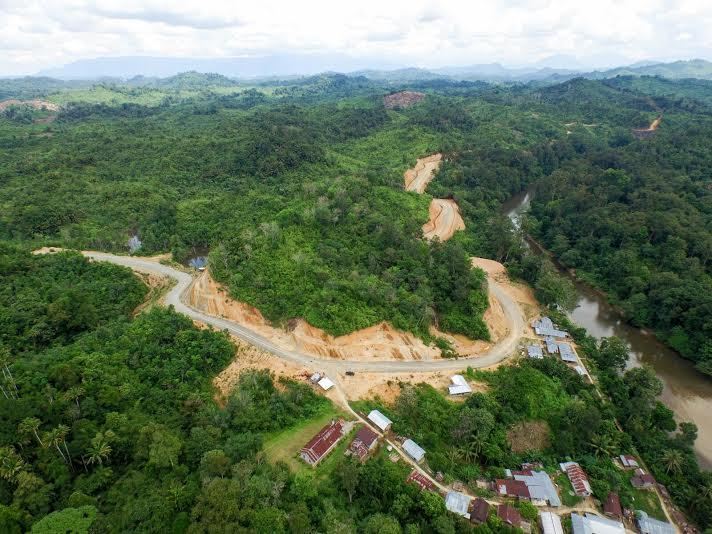 Pertama Dalam Sejarah, RI Belah Hutan Kalimantan Untuk Jalan Perbatasan