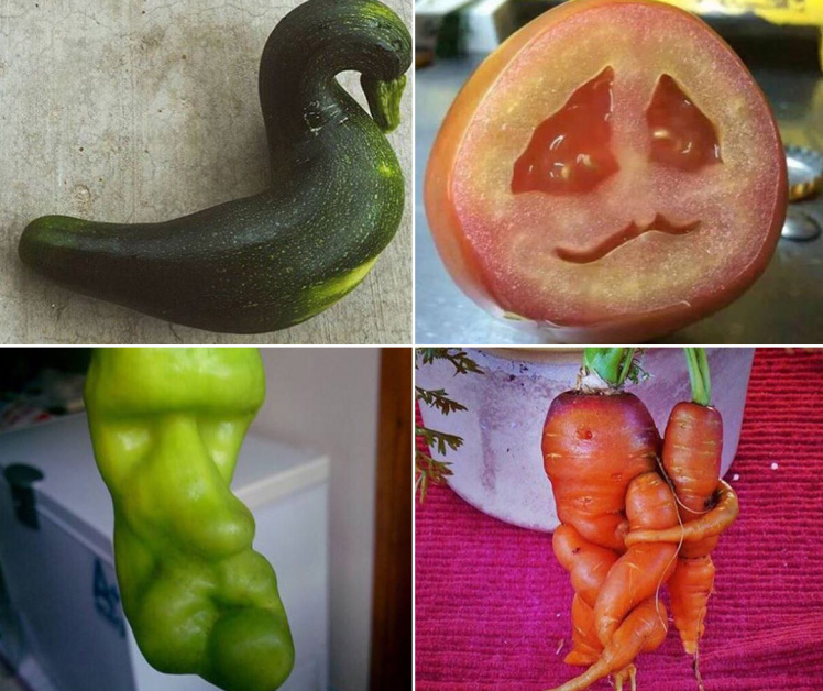Akun Instagram Ini Unggah Foto Sayur dan Buah yang Bentuknya Jelek