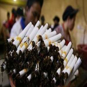 Produksi Rokok 2020 Ditargetkan 524 Miliar Batang, Bakal Naik 48% 