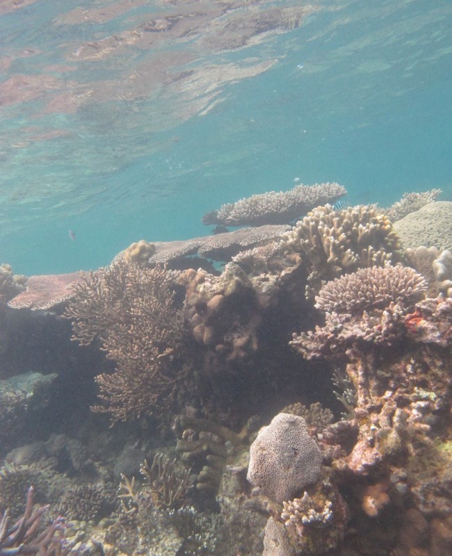 Pulau Kecil, Karimunjawa