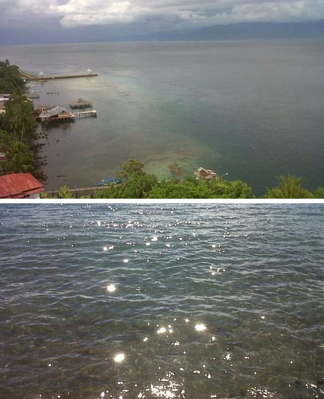 Pulau Tidore, Malut