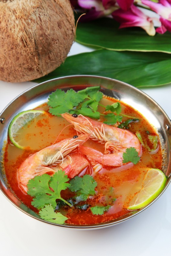 Sari Laut Jala Jala