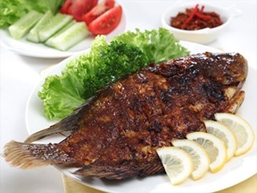 Saung Fitri