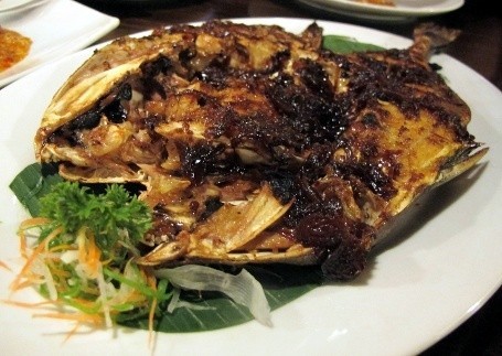 Sulawesi