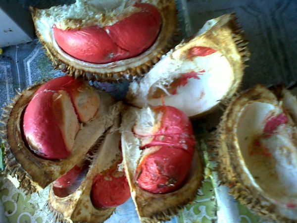 Durian Yang Berwarna Merah Dan Berbentuk Jantung