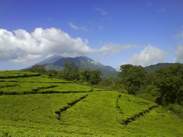 Pemandangan di siang hari