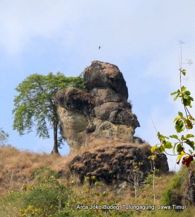 Batu Joko Budeg