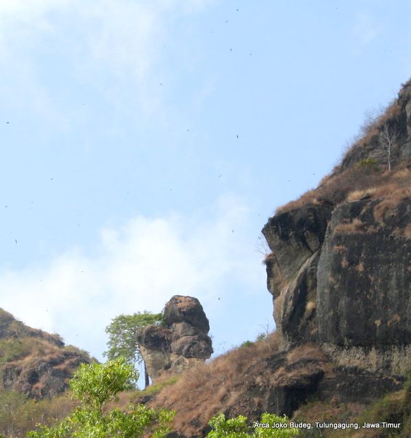 Batu dan Pohon yang tidak pernah berubah