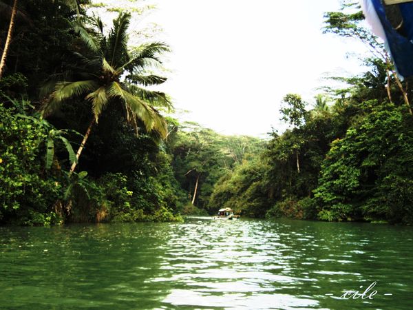 Pemandangan Hijau Sekeliling Sungai