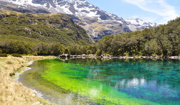 Blue Lake, Inilah Danau Paling Jernih di Dunia