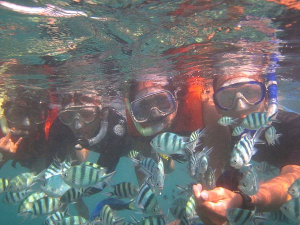 Bawah laut