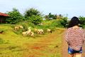 Perjalanan Puncak Guha