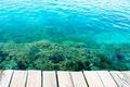 karang di pulau tidung (foto oleh Ajjas Ravenant/d'traveler)