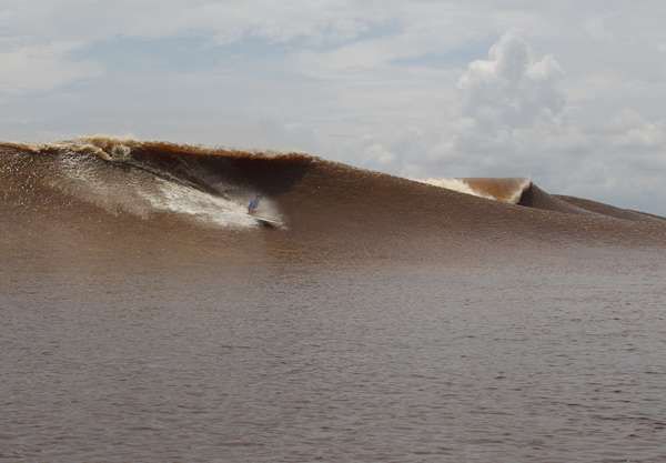 Berselancar di Sungai Bono (Albert Saniko/detikTravel)