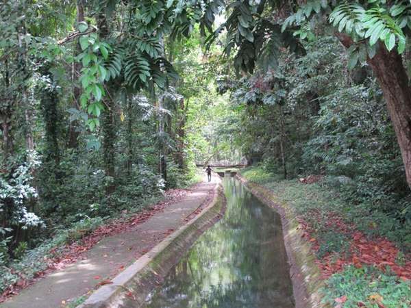 Jalan menuju air terjun (Oke Hastiawan/ACI)