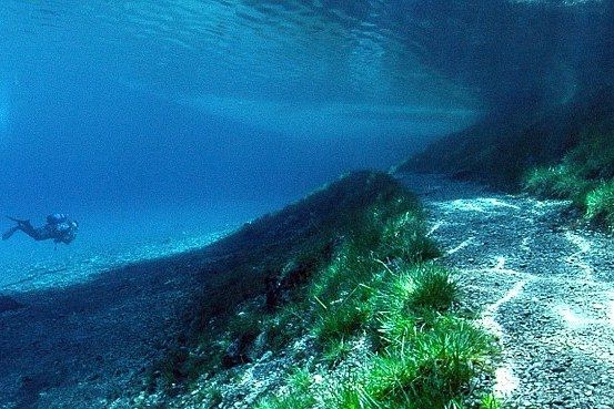 berenang menuju jalan setapak (sumber: dailymail.co.uk)