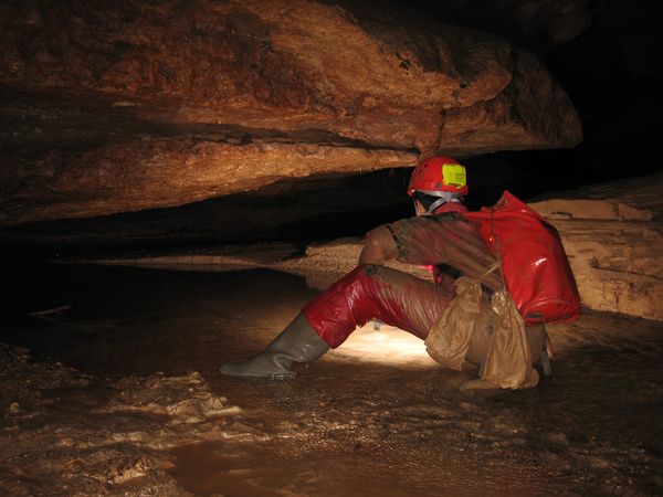 Kondisi lorong gua di Gua Buniayu dengan sungai bawah tanah yang dangkal saat musim kemarau (dok. Cahyo Rahmadi/LIPI)