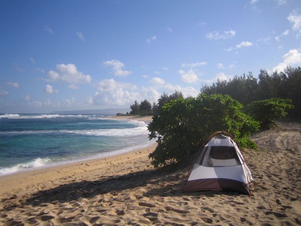 berkemah asyik di tepi pantai (thebeachs.info)