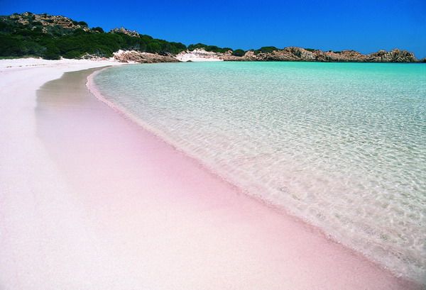 Pantai Pink di Pulau Komodo (Sumber: sofluna.com)