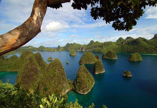 Wayag, yang menjadi ciri khas Raja Ampat (Wilman Latief/ dTraveler)