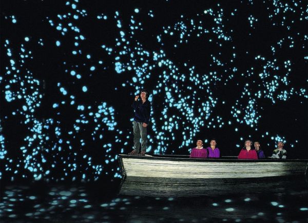 Bagian dalam Glowworm Cave (waitomoresort.com)