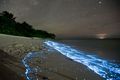 Gemerlap phytoplankton bioluminescence di pantai Pulau Vaadhoo (nationalgeographic.com)