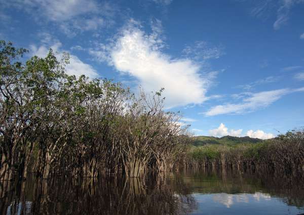 Danau Sentarum 