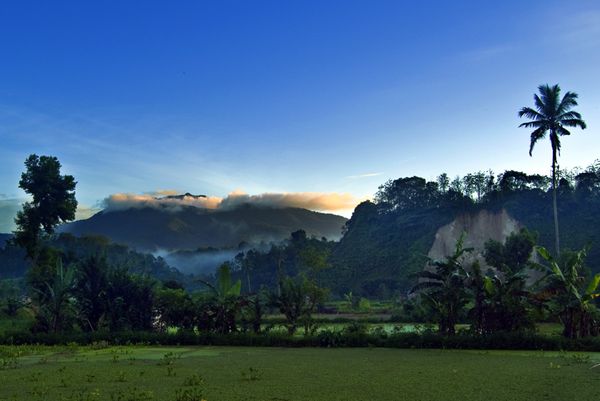 Gunung Pesagi (sumber: panoramio.com)