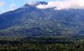 (sumber: asparaliwa.blogspot.com)