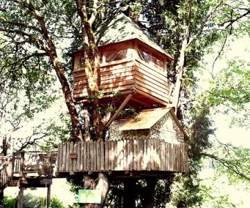 (treehouses.com)