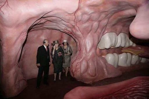 Melihat bagian dalam mulut manusia saat perjalanan melalui tubuh manusia di Museum Corpus (Sumber: www.amusingplanet.com)