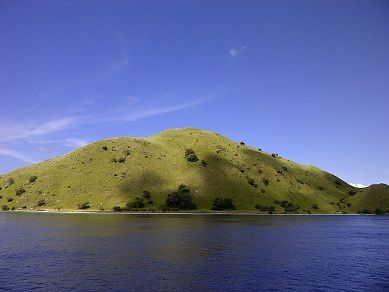 Savana di pulau pulau kecil sekitar pulau Komodo