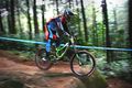 Downhiller melompat di Sebex Bike Park (pinkbike.com)
