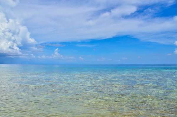 [imagetag] Pantai dekat Danau Ubur-ubur (dok. Bagus Sangaji Riwanto/ACI)