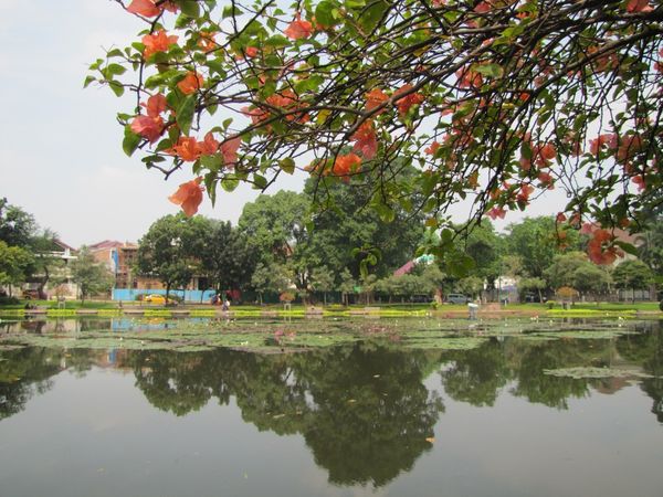 Taman Situ Lembang sangat asri (Fitraya/detikTravel)