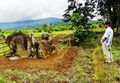 Pasemah, salah satu peninggalan Megalitikum yang terkenal di Pagaralam Sumatera Selatan (Sumber: versesofuniverse.blogspot.com)