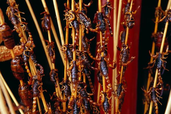 Sate Kalajengking (sumber: lonelyplanet.com)