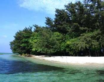 Pulau Semak Daun (Cumi Toro - d\'Traveler)