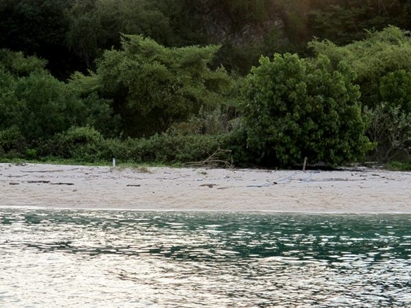 Penampakan pantai sepi nan indah di Pulau Bidadari (Shafa/detikTravel)